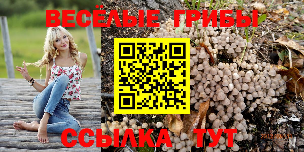 закладка  Псилоцибиновые грибы ЛСД  Грязи  Вход с VPN  Галлюциногенные грибы Psilocybine cubensis 